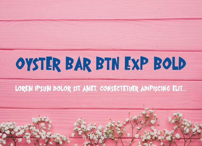 Oyster Bar BTN Exp Bold example